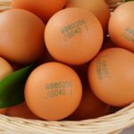 알리익스프레서 1000억페스타