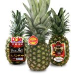 알리익스프레서 1000억페스타